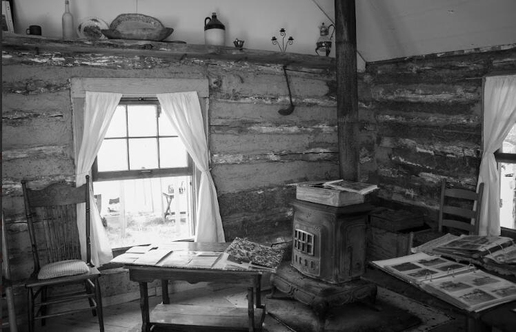 Old Family Cabin 2023