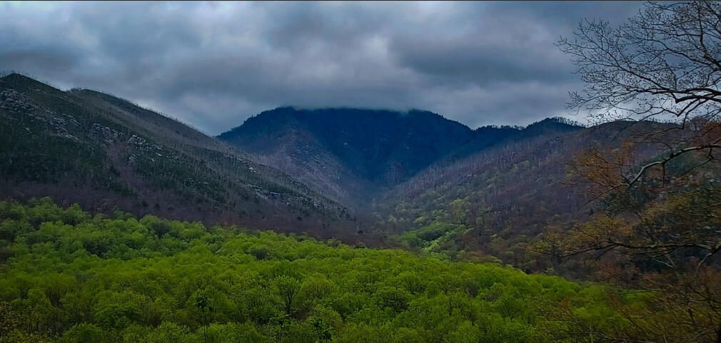 Tennessee Mountains 2022