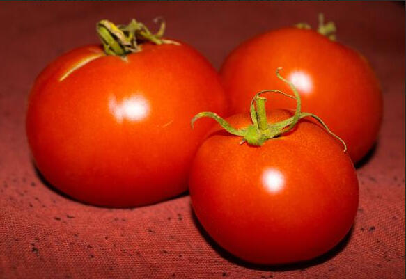 Tomatoes 2023